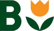 logo BioArt